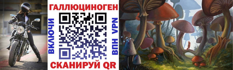 купить   Чкаловск  Галлюциногенные грибы Cubensis 